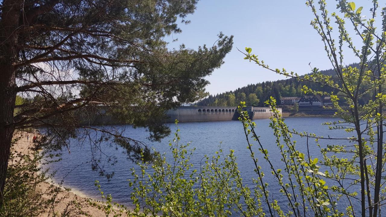 Ferienwohnung Vogelnest Im Schwarzwald Baiersbronn Bagian luar foto