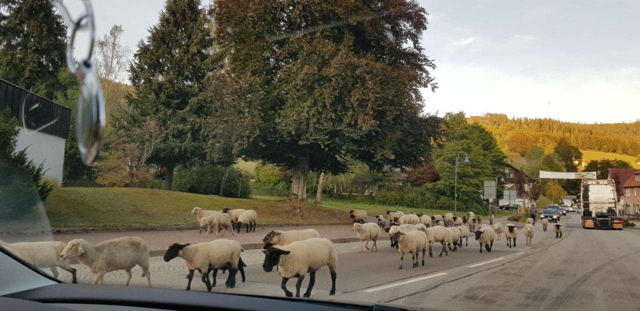 Ferienwohnung Vogelnest Im Schwarzwald Baiersbronn Bagian luar foto