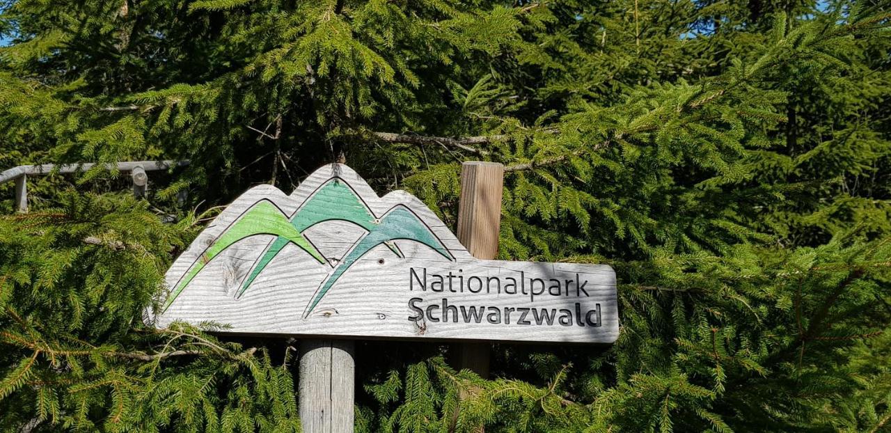 Ferienwohnung Vogelnest Im Schwarzwald Baiersbronn Bagian luar foto