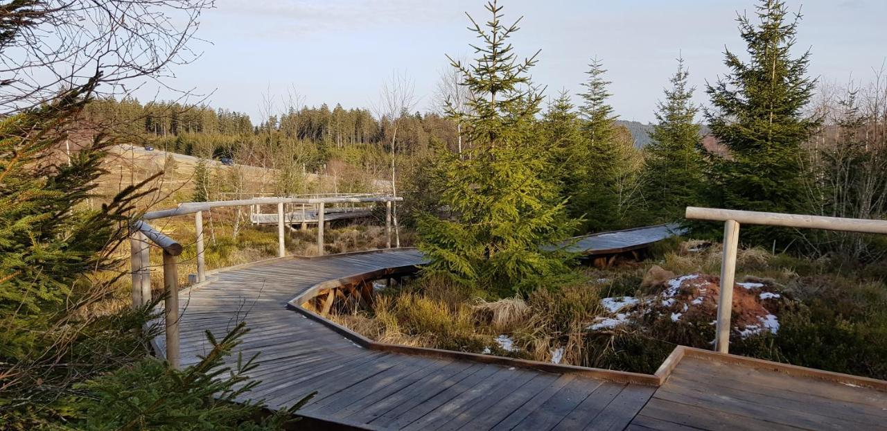 Ferienwohnung Vogelnest Im Schwarzwald Baiersbronn Bagian luar foto