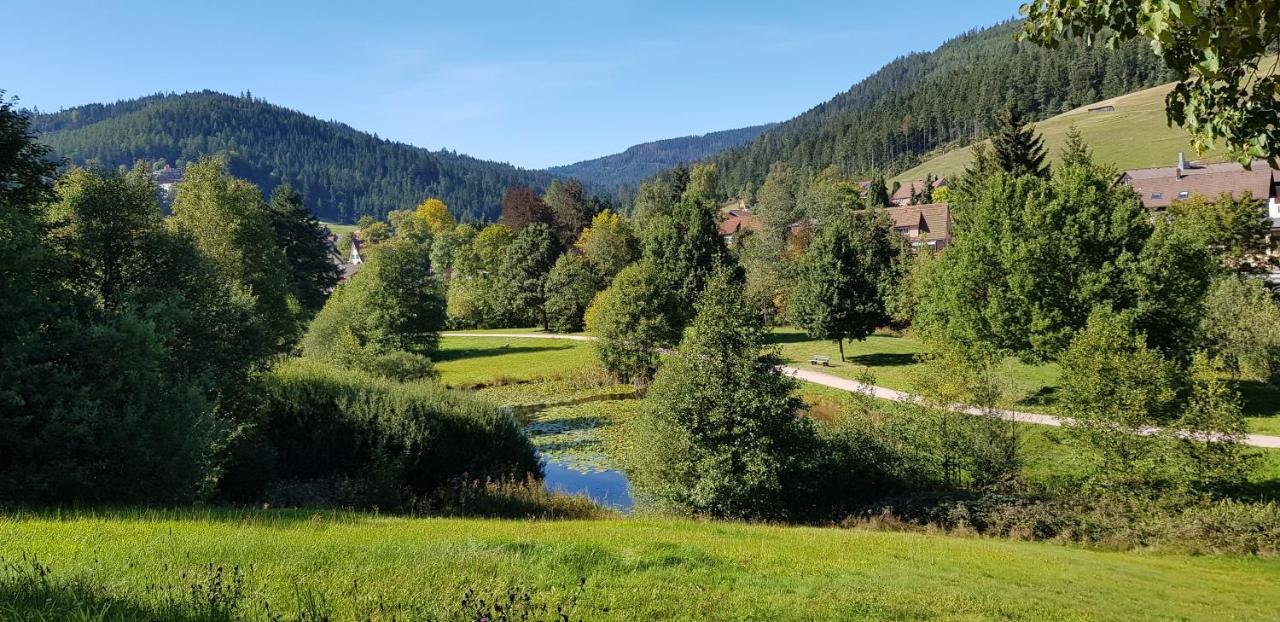 Ferienwohnung Vogelnest Im Schwarzwald Baiersbronn Bagian luar foto