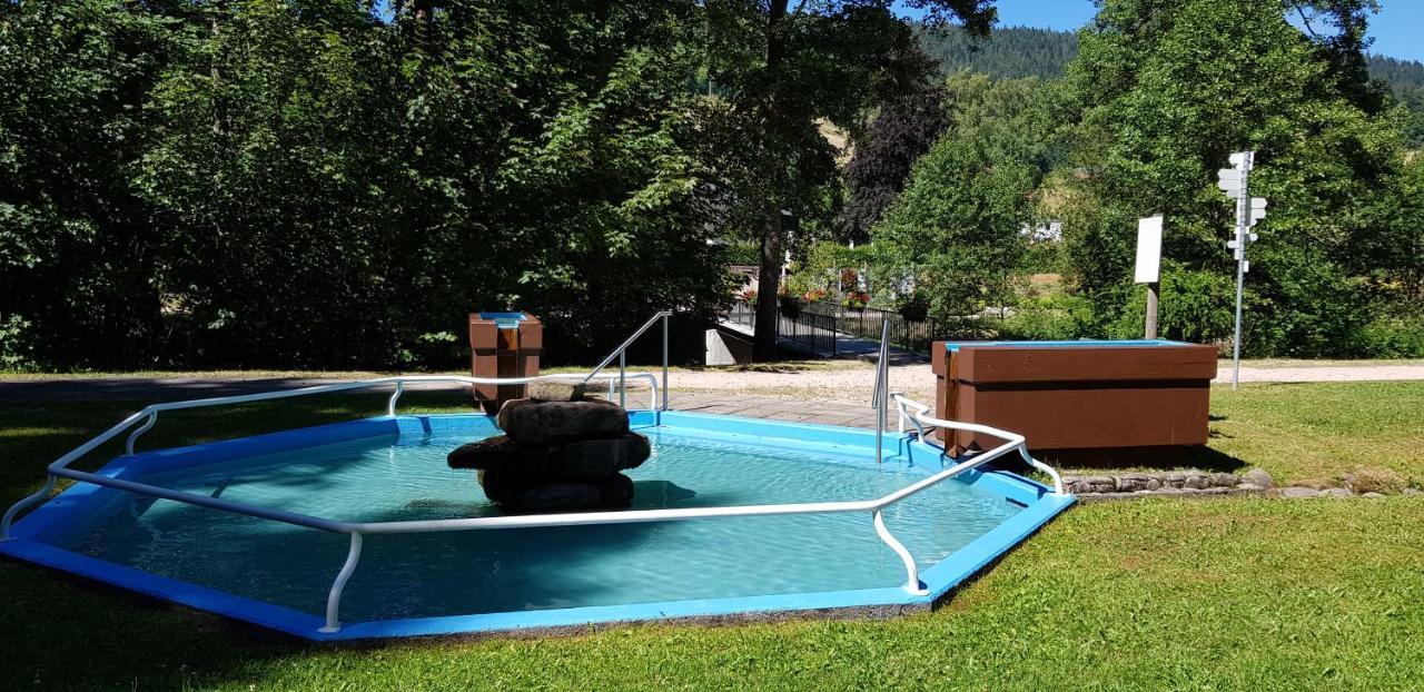 Ferienwohnung Vogelnest Im Schwarzwald Baiersbronn Bagian luar foto