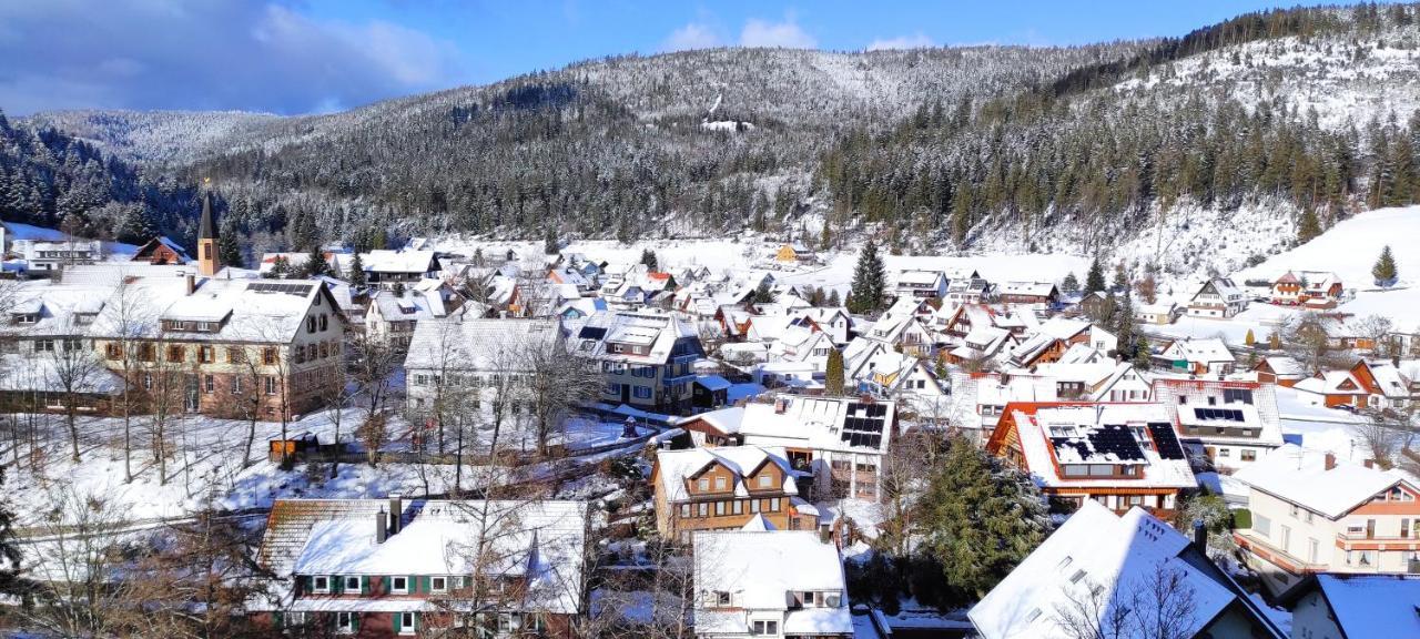 Ferienwohnung Vogelnest Im Schwarzwald Baiersbronn Bagian luar foto