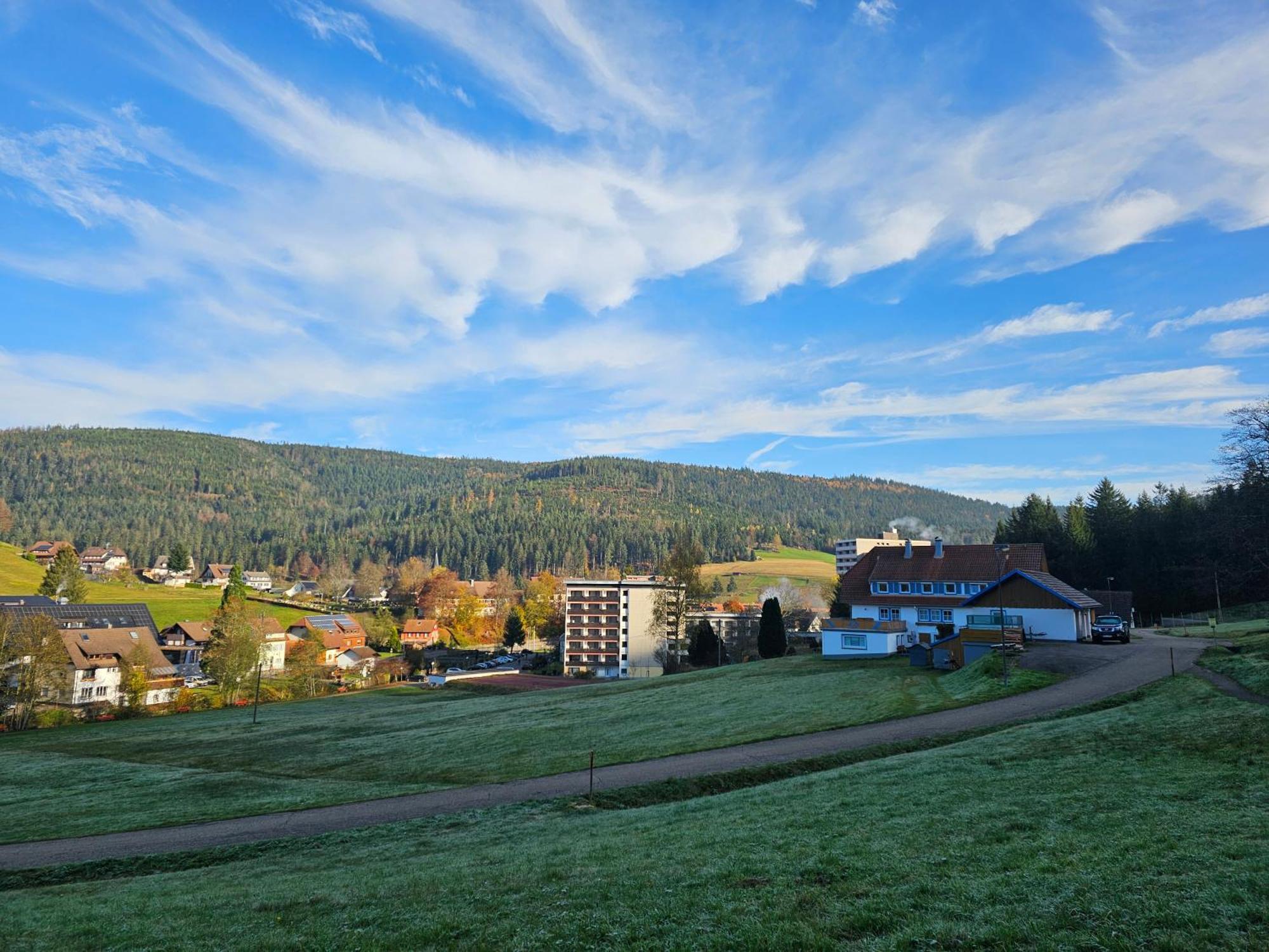Ferienwohnung Vogelnest Im Schwarzwald Baiersbronn Bagian luar foto